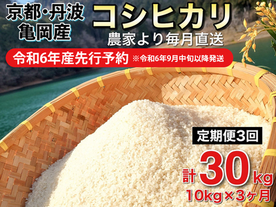 【令和6年産先行予約】米 白米 定期便 10kg×3ヶ月 30kg コシヒカリ 佐伯の里の源流米 米 白米 定期便 ※北海道・沖縄・離島の配送不可 ※2024年10月以降発送予定≪希少 米 白米 定期