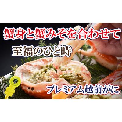 ふるさと納税 越前町 桐箱入り!一番蟹　越前国の主!越前がにの象徴 × 1杯 ≪浜茹で≫【2・3月発送分】 |  | 02