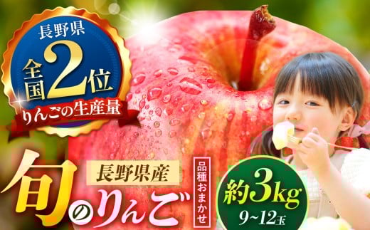 信州産りんご【品種おまかせ】約3kg (8～12玉)　【秋映・シナノスイート・シナノゴールド・名月・サンふじ・グラニースミス】 | ふるさと納税 果物 秋映 シナノスイート シナノゴールド サンふじ リンゴ りんご 林檎 信州産 長野県 松本市