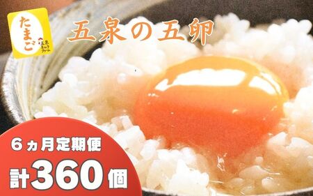 卵 定期便 6ヶ月 産みたて 赤たまご60個（Mサイズ）