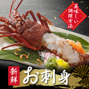 ジャンボ伊勢海老・ジャンボざざえセット[B]　【 伊勢海老 さざえ 】