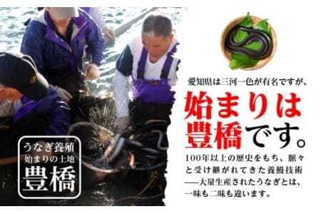 極上 豊橋うなぎ 蒲焼 カット 500g 夏目商店