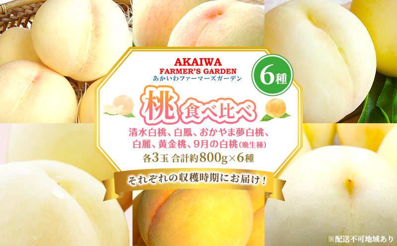 桃 2025年 先行予約 食べ比べ 各3玉 合計約800g×6種 もも 岡山県 赤磐市産 フルーツ 果物 あかいわファーマーズガーデン