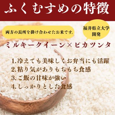 ふるさと納税 小浜市 【令和8年産】福井県産ふくむすめ　精米10kg　11月以降発送　今富の宝 |  | 01