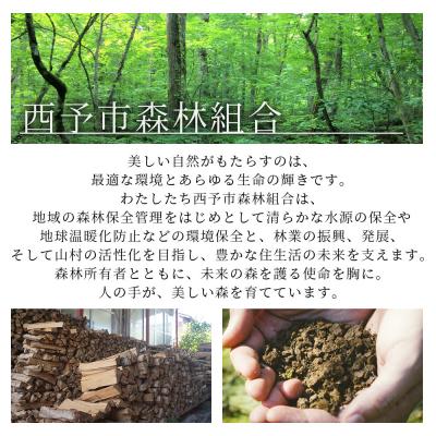 ふるさと納税 西予市 <山護人YAMAMORIBITO ストーブ用薪(皮付き)約20kg> 薪 まき 木 ストーブ 暖炉 |  | 03