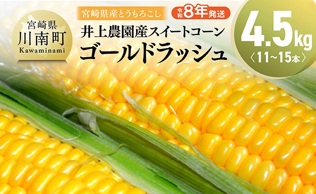 
            【令和8年発送】宮崎県産とうもろこし　井上農園産スイートコーン(ゴールドラッシュ)4.5kg 【 トウモロコシ スイートコーン 2026年発送 先行予約 数量限定 期間限定 】
          