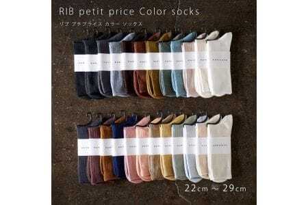 HARUSAKU [ CC ] ハルサク リブカラー ソックス 靴下 10P set　22cm～24cm　12-083