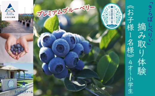 ブルーベリー摘み取り体験《お子様1名様》