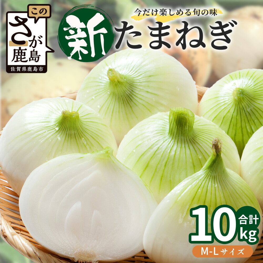 【ふるさと納税】 甘〜い！新鮮！新たまねぎ 約10kg (MLサイズ）生産者直送！★大自然育ち【2026年4月より順次発送】タマネギ 玉葱 新タマ 新玉ねぎ サラダ 惣菜 お料理 ストック 箱買 美味しい 甘い 常備野菜 佐賀県 鹿島市産 人気 送料無料 B-737