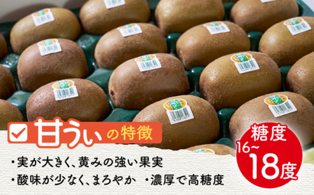 【ふるさと納税】【10月下旬より発送】福岡産ブランドキウイ 甘うぃ 約1.5kg（12-15玉）＜南国フルーツ株式会社＞那珂川市 キウイ キウイフルーツ ブランド フルーツ 果物 九州産 国産 110