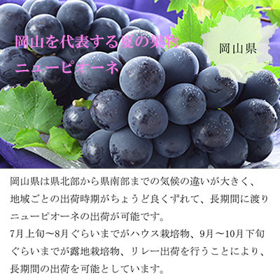 【2024年6月下旬より発送】岡山県産　ニューピオーネ　2kg(3房〜6房)【配送不可地域：離島・北海道・沖縄県】【1315170】
