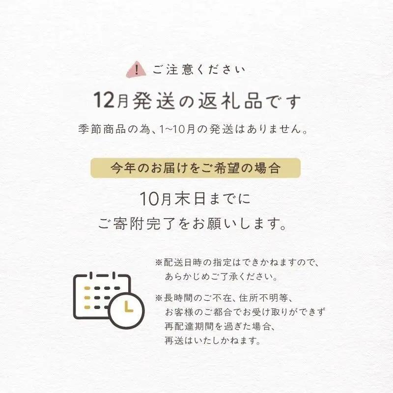 【2026年12月発送】Xmasシュトーレン salut!! ラム酒 ドライフルーツ ナッツ 洋菓子 ギフト_0026-001-se5-12
