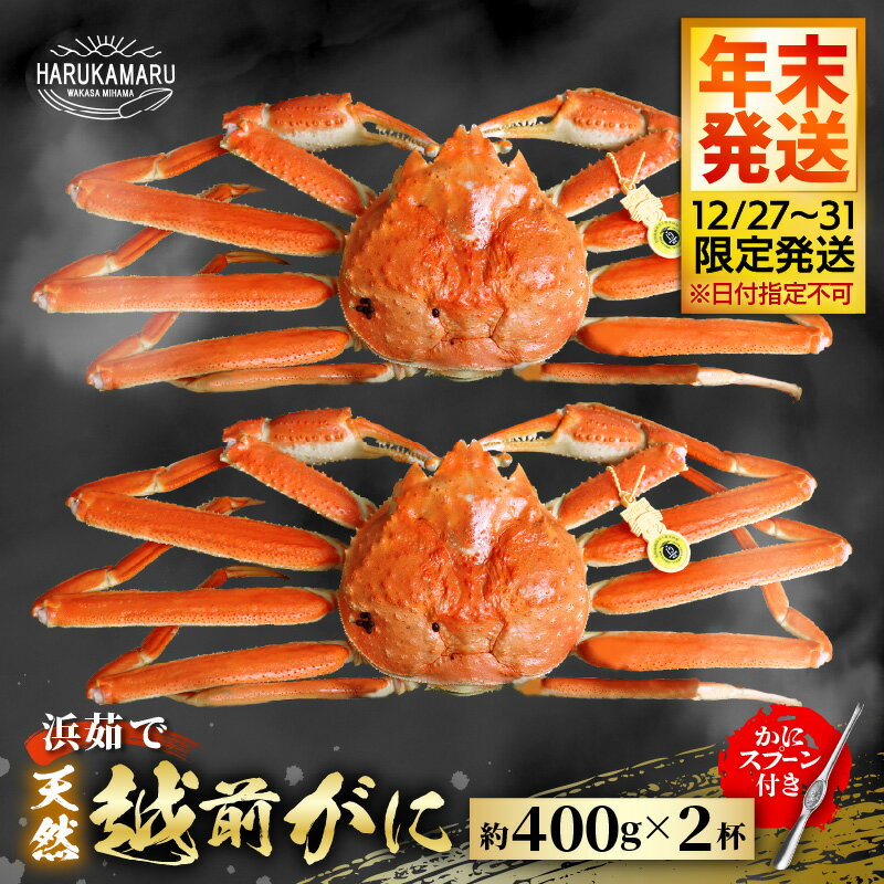 【ふるさと納税】【先行予約】≪浜茹で≫ 地物！天然！はるか丸厳選！越前がに 約400g × 2杯【年末発送12/27〜12/31限定発送！】【冷蔵 本場の味 ボイル 越前ガニ 蟹 茹で ずわいがに ズワイガニ】