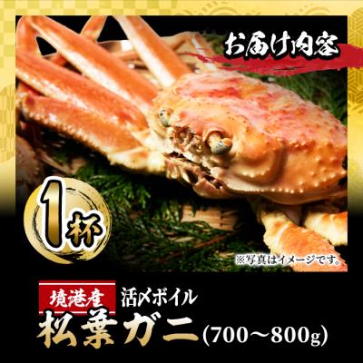ふるさと納税 境港市 <訳あり>活〆ボイル松葉蟹(700〜800g)【11月中旬から順次発送】 |  | 03