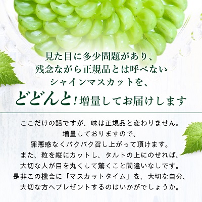 【訳あり】シャインマスカット 3～4房 1.5kg以上【配送不可地域：離島】