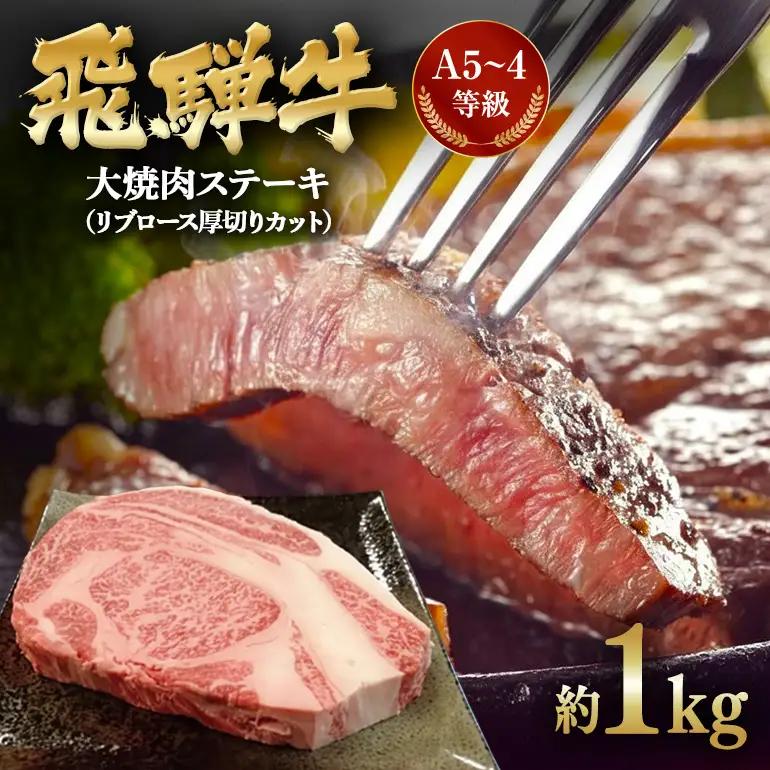 飛騨牛 A5～4等級 大焼肉ステーキ 1.0kg (A01-013)