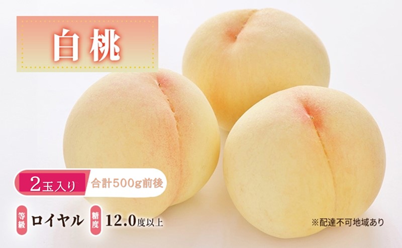 桃 2026年 先行予約 白桃 等級: ロイヤル 糖度12.0度以上 2玉入り 合計500g前後 もも モモ 岡山県産 国産 フルーツ 果物 ギフト