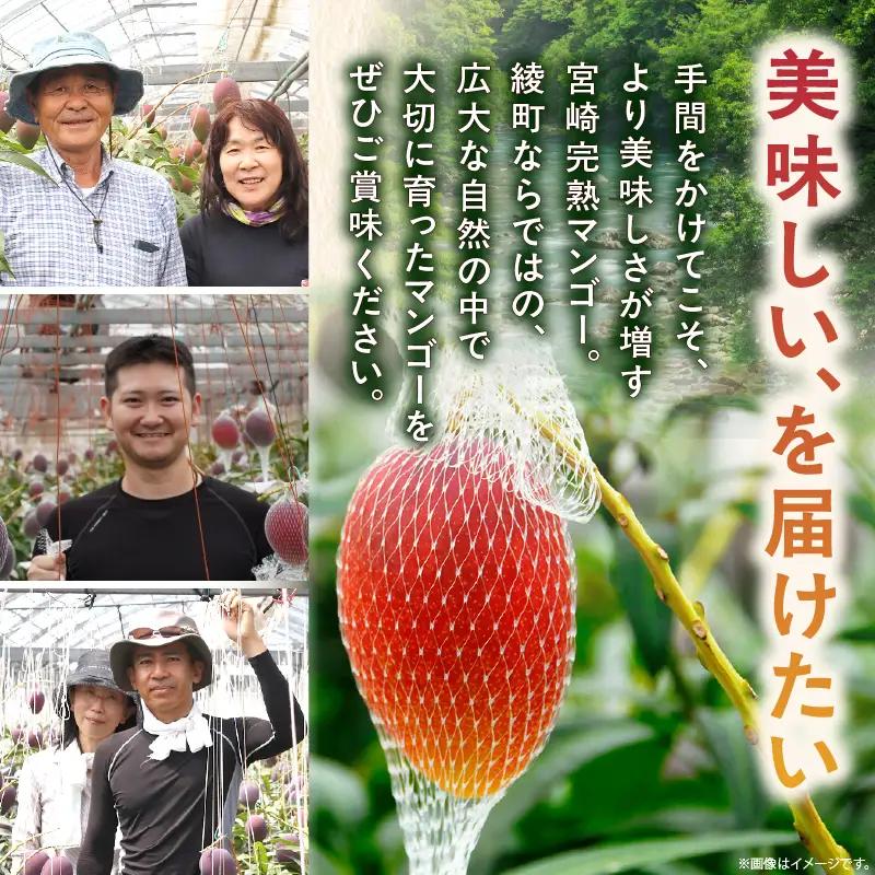 先行予約 完熟マンゴー 5L×1玉（化粧箱）マンゴー 宮崎 果物 フルーツ くだもの 2027年 国産 高級 マンゴージュース 南国フルーツ おすすめ デザート ギフト 贈り物 プレゼント 贈答 冷蔵