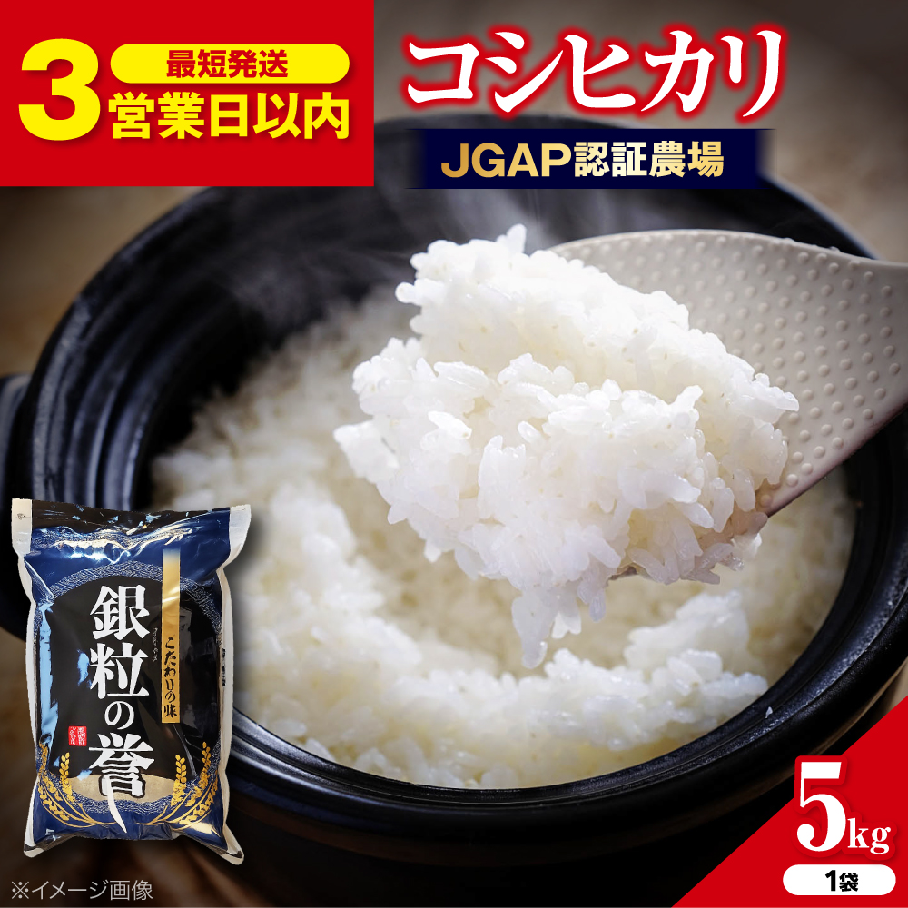 【令和7年産米】こしひかり 5kg【スピード発送】 米 白米 お米 ご飯 コシヒカリ 三次市/アグリ君田 [APDC001]