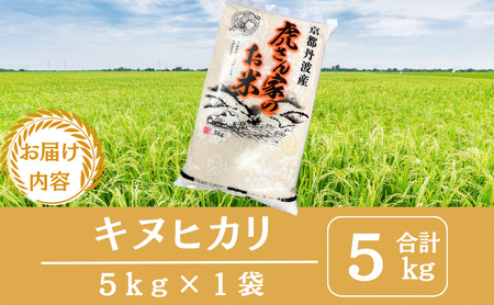 キヌヒカリ 5kg 米 お米 トラファーム キヌヒカリ