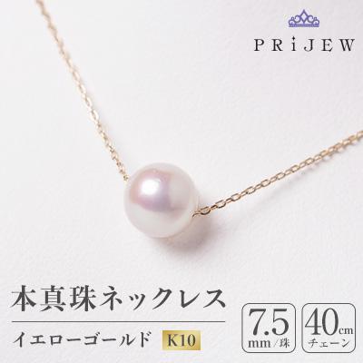 ふるさと納税 南箕輪村 本真珠　イエローゴールド ペンダントネックレス