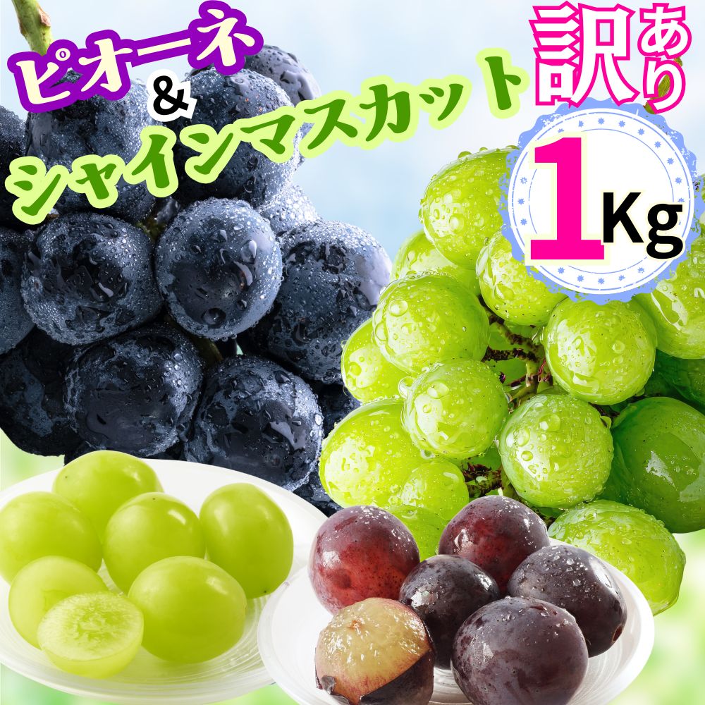 【ふるさと納税】訳あり ぶどう シャインマスカット ピオーネ セット 詰め合わせ 食べ比べ 約 1kg 山形県 農家直送 2026 年発送 種なし 種無し ブドウ 葡萄 グレープ 果物 フルーツ 詰合せ 産地直送 家庭用 ご家庭用 自宅用 不揃い 規格外 朝日町産 山形産 期間限定 送料無料