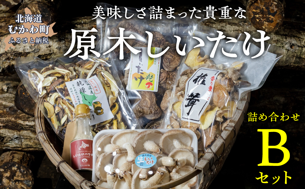 美味しさ詰まった貴重な原木しいたけ詰め合わせ　Bセット MKWN002
