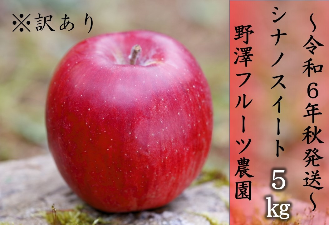 
7-387　～先行予約～　※訳あり　りんご：シナノスイート ５㎏ 10月中旬以降発送【野澤フルーツ農園】
