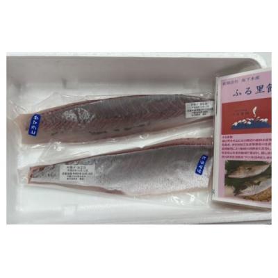 ふるさと納税 錦江町 ふる里館 ヒラマサブロックセット　1ケース(No.1394-1) |  | 01