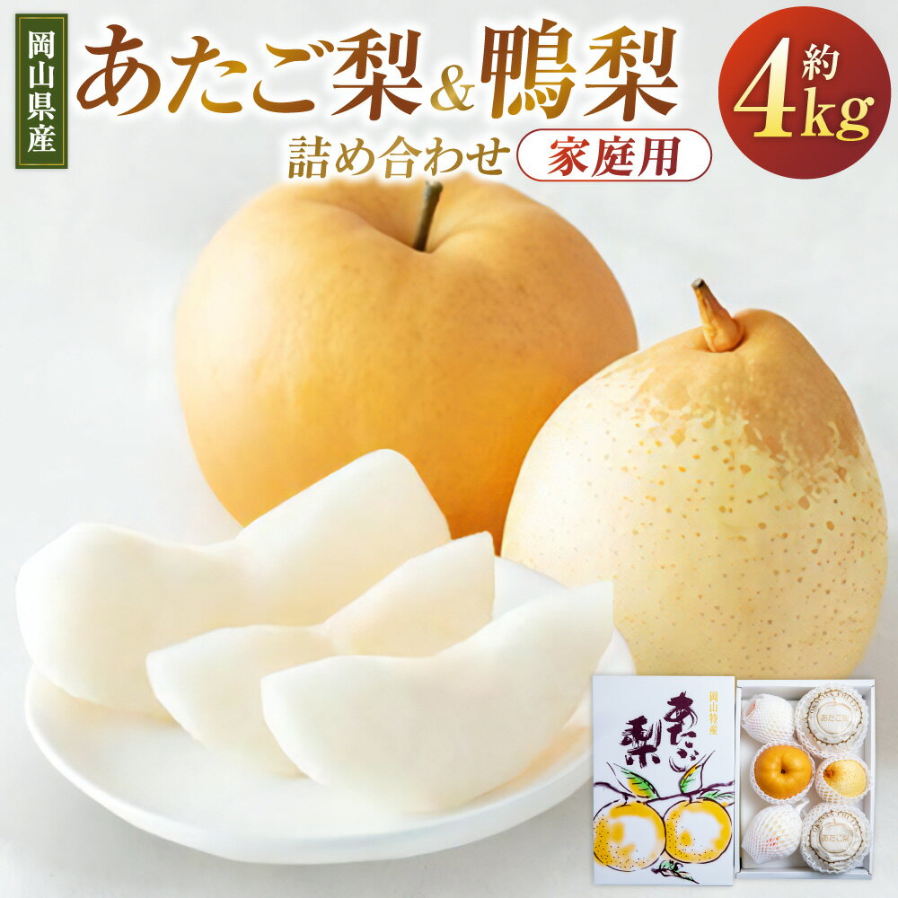 【ふるさと納税】あたご梨・鴨梨 詰め合わせ セット 合計約4kg 家庭用 ヤーリー 愛宕梨 なし ナシ フルーツ くだもの 果物 果実 岡山県産 岡山県 美咲町 送料無料 【2025年11月下旬～12月下旬発送予定】