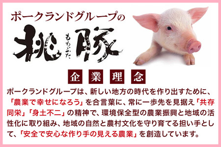 桃豚2種のハム・ベーコンセット 各500g×1個 計2個 豚肉 秋田県 小坂町