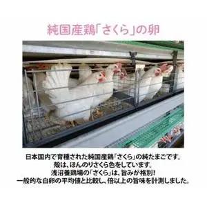 純国産鶏 卵 定期便【さくら】純たまご30個入り 破損保証5個を含む【3ヶ月連続お届け】 (AJ028)  国産 たまご 産地直送 飼料にこだわった 玉子  鶏卵