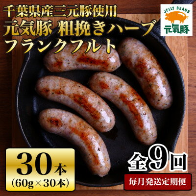 【ふるさと納税】【毎月定期便】元気豚 粗挽きハーブフランクフルト 30本セット 1.8kg(60g×30本)全9回【配送不可地域：離島・沖縄県】【4055504】