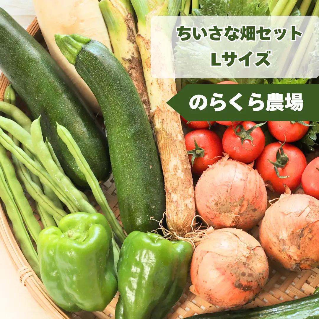 有機野菜ちいさな畑セット（Lサイズ　３～４人前）有機野菜［NK-102］