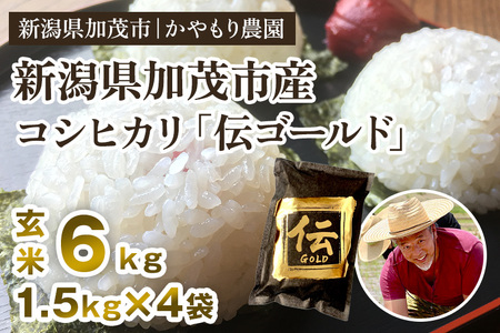 【令和7年産】新潟産コシヒカリ「伝ゴールド」真空パック 玄米6kg（1.5kg×4）