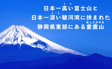 茶葉 50g 6袋 セット お茶 ぐり茶 静岡 緑茶 深蒸し茶 ギフト お中元 贈答用 ギフト用