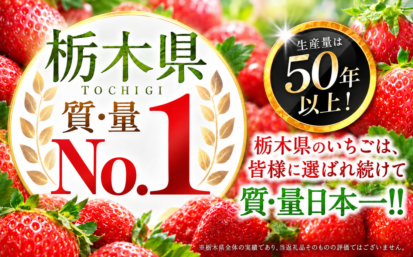 いちご 訳あり サイズランダム とちあいか2kg以上【2027年先行予約】 | 苺 イチゴ 栃木県共通返礼品 栃木県矢板市産 【訳あり】 不揃いとちあいか2kg｜16000円