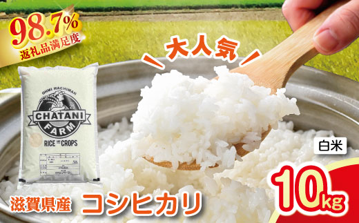 【新米】令和8年産　近江米　コシヒカリ 白米【10kg（5kg×2袋）】【V012W2】（滋賀県　近江八幡市）