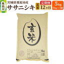 【ふるさと納税】《定期便12ヶ月》【令和6年産・玄米】宮城県栗原産 ササニシキ 毎月5kg (5kg×1袋)×12ヶ月