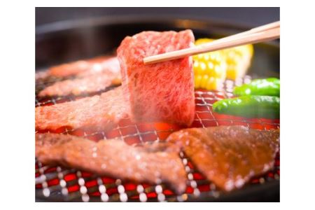伊予牛絹の味_赤身3種お楽しみセット (サイコロステーキ&すき焼き&焼肉) (冷凍)｜黒毛和牛 A4～A5