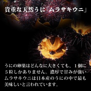 うに 貝焼き 100g前後×2 無添加 うに 焼きウニ うに 天然ムラサキウニ うに 岩手県産 うに