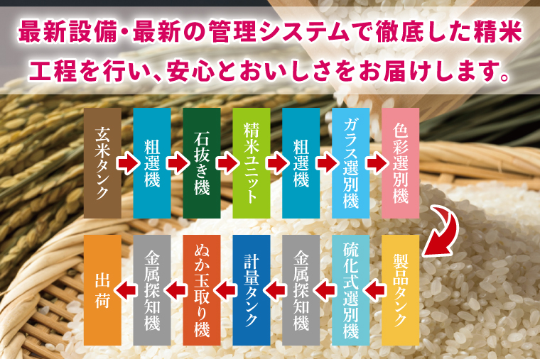 【数量限定】【令和7年産】茨城県産コシヒカリ 10kg(5kg×2袋) 【お米 ごはん こしひかり  おにぎり ごはん 茨城県 水戸市】(NQ-2)