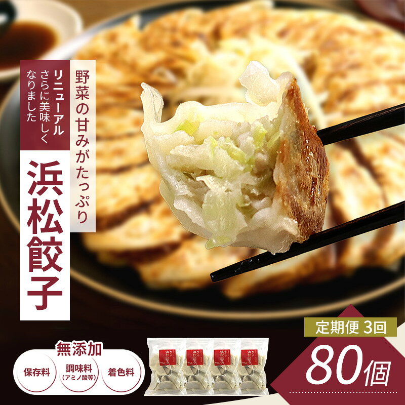 【ふるさと納税】【定期便3回】浜松餃子 80個 (20個×4袋) セット 詰め合わせ 餃子のたれ 小袋 知久屋 国産 ぎょうざ 餃子 ギョーザ 冷凍餃子 冷凍ギョーザ 工場直送 ヘルシー あっさり 惣菜 中華 点心 静岡 浜松市 【配送不可：離島】