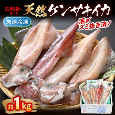 ふるさと納税 美浜町 【活きたイカをご提供している漁師が活〆!鮮度格別】急速冷凍したお刺身で食べるケンサキイカ約1kg