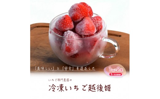 
            冷凍いちご 越後姫1kg×2袋 3ヶ月定期便 冷凍 イチゴ 苺 果物 フルーツ 定期 新潟
          