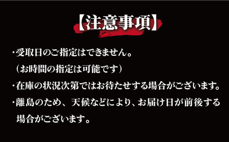 【全3回定期便】手延 五島うどん 地獄炊き セット【ますだ製麺】[RAM007]