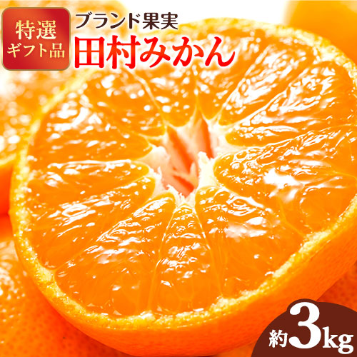 【先行予約】みかん 田村みかん 特選ギフト品 赤秀 3kg(サイズおまかせ)とち亀物産 紀伊国屋文左衛門本舗《2025年11月下旬-1月中旬頃出荷予定》和歌山県 日高町 田村みかん 有田みかん みかん 果物 フルーツ ブランド果実