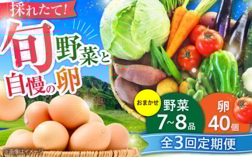 【全3回定期便】【数量限定】新鮮たまごと旬の野菜セット(野菜7~8品程度＋40個) / たまご 生卵 タマゴ 詰合せ セット 熊本県 特産品【有限会社さんふれあ】 [BHAK009]