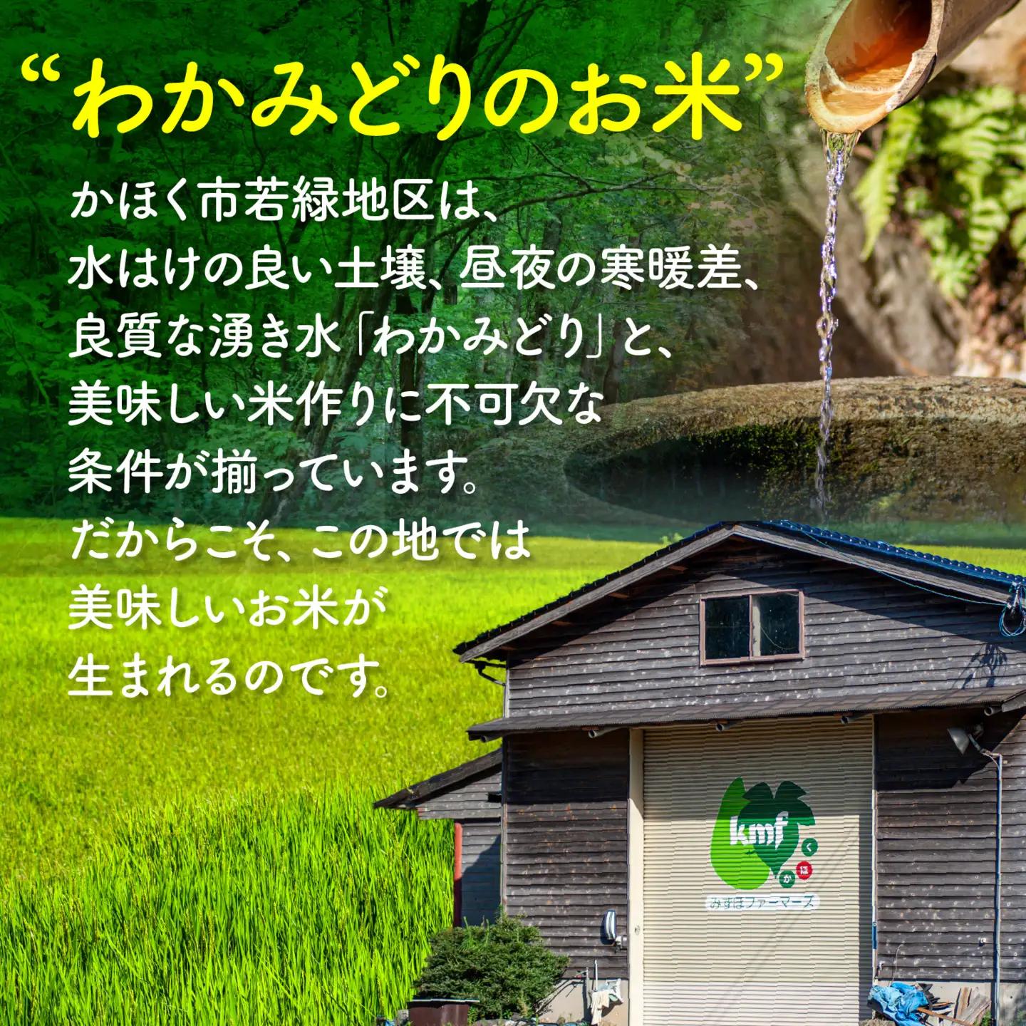 【令和7年産】こしひかり 2kg（1kg × 2袋） |  コシヒカリ お米