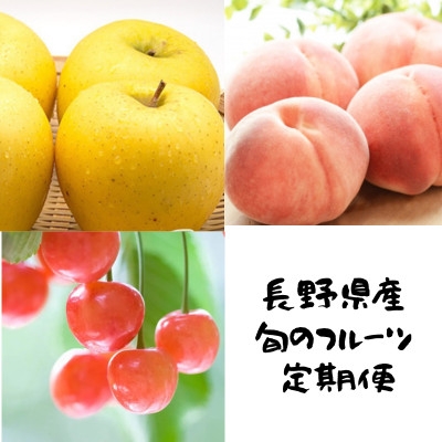 
                  ＜発送月固定定期便＞長野の果物 サクランボ+桃+シナノゴールド全3回【4081301】
                